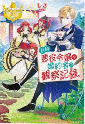 不朽正义高达 高机动型 机体设定